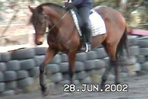 2002 training rmond 36
